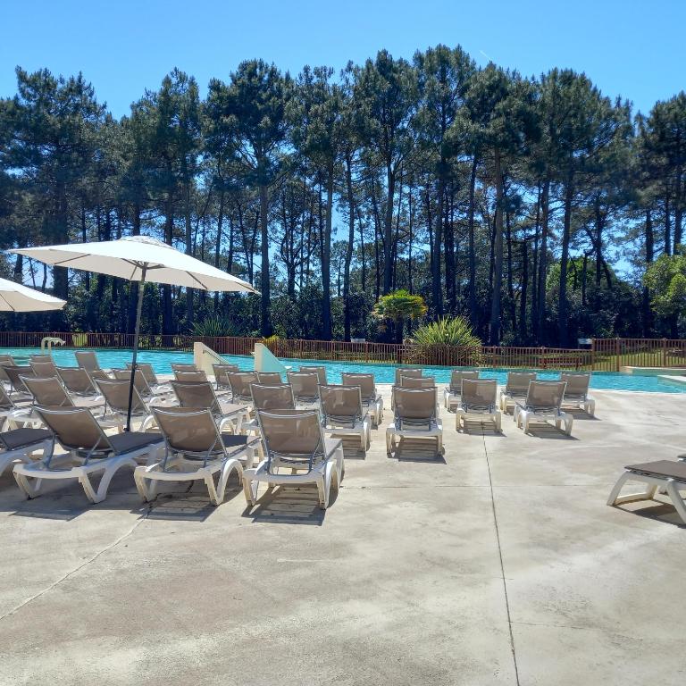 T2 32m2 terrasse 8m2 PISCINE LACANAU OCEAN LAC GOLF MULTISPORT - One-Bedroom Apartment - 15