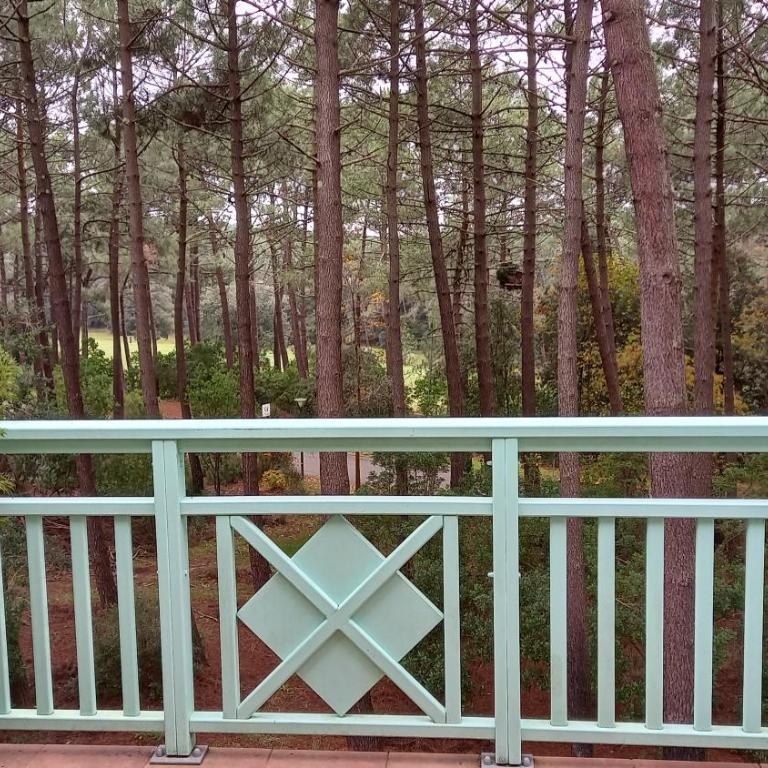 T2 32m2 terrasse 8m2 PISCINE LACANAU OCEAN LAC GOLF MULTISPORT - One-Bedroom Apartment - 18