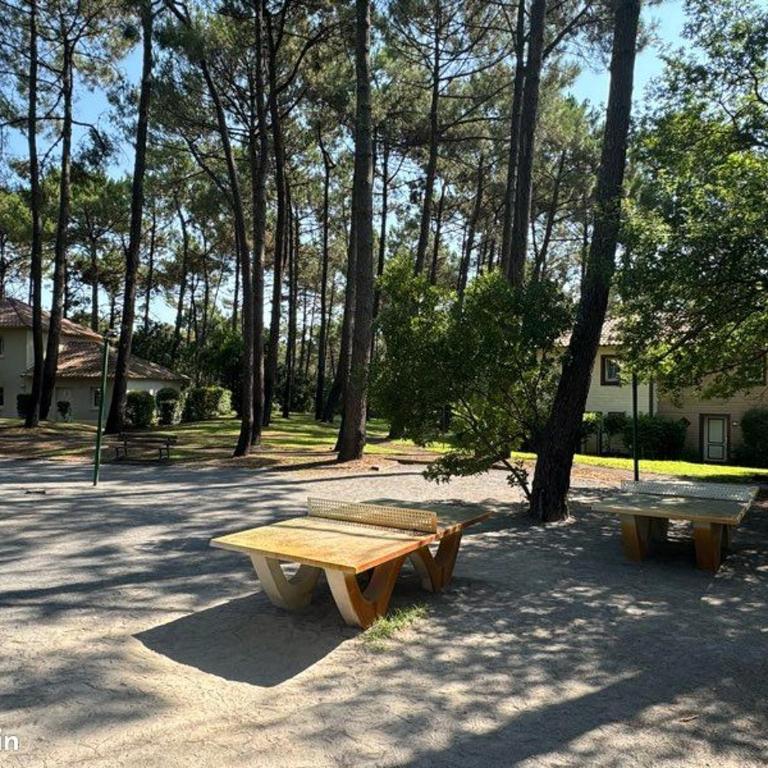 T2 32m2 terrasse 8m2 PISCINE LACANAU OCEAN LAC GOLF MULTISPORT - One-Bedroom Apartment - 25