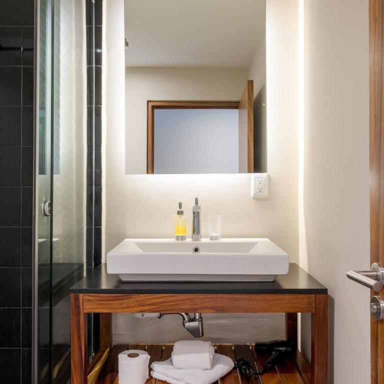 Loft Con Terraza Polanco - PINO - One-Bedroom Apartment - 17
