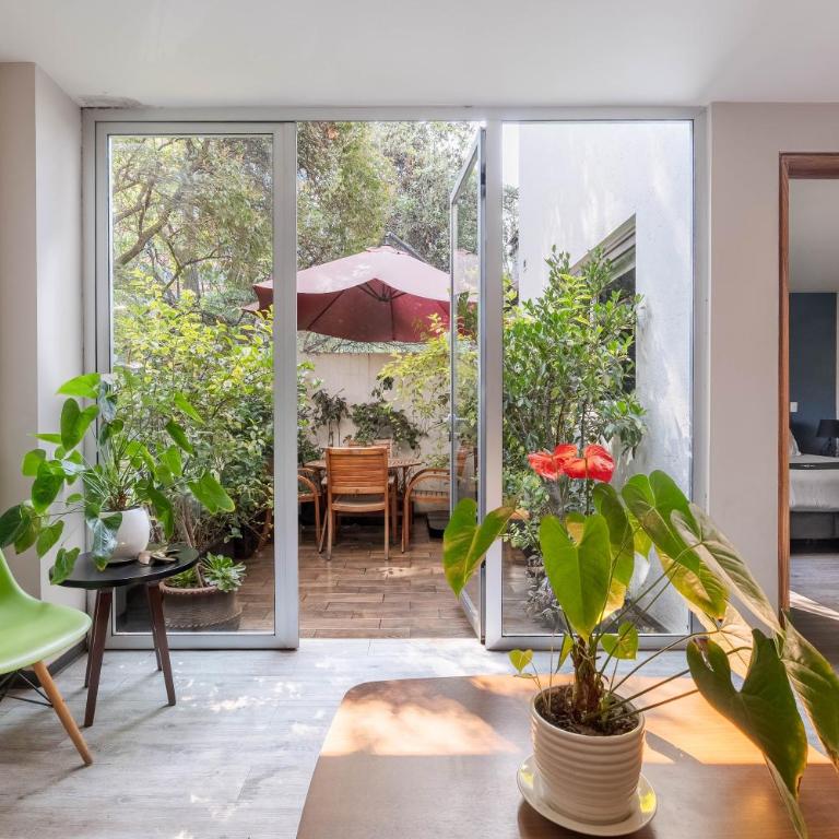 Loft Con Terraza Polanco - PINO - One-Bedroom Apartment - 18