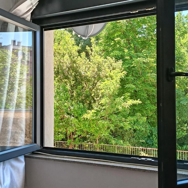 Kosmaj - Apartman sa 1 Spavaćom Sobom - 9