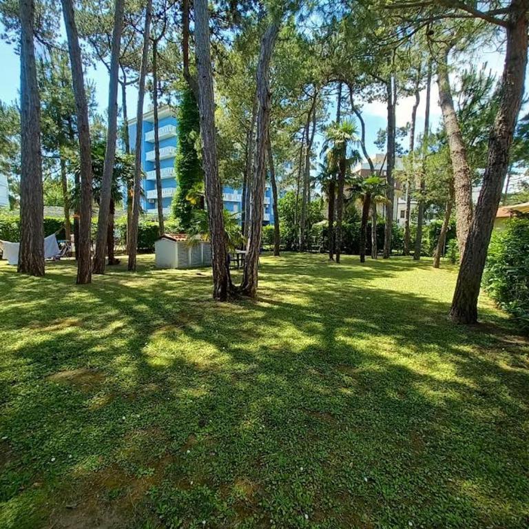 Villa Alfredo 3 - Appartamento con 1 Camera da Letto - 14