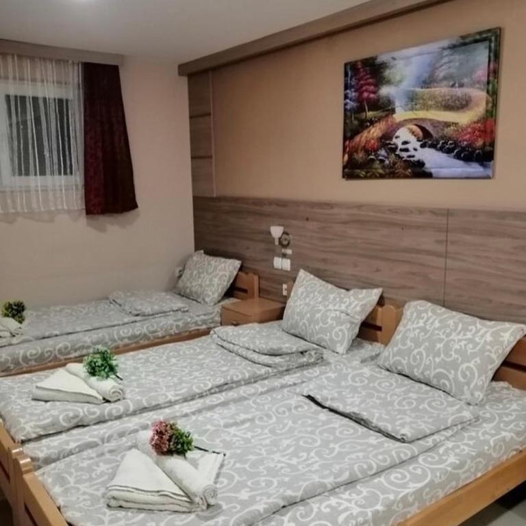 KONAK ViLA MIRKOVIĆ - Standardni Trokrevetni Studio - 3