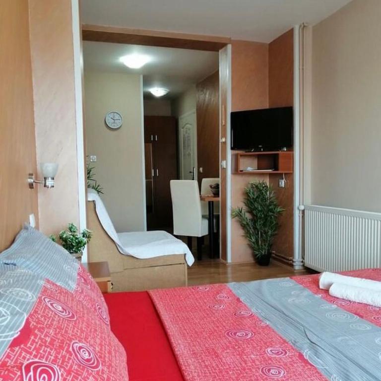 KONAK ViLA MIRKOVIĆ - Studio - 5