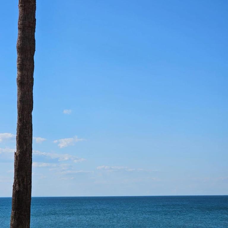Apartamento frente al mar - Apartamento con vistas al mar - 7