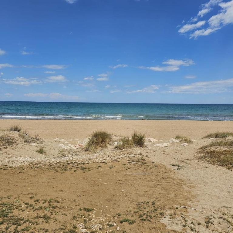 Apartamento frente al mar - Apartamento con vistas al mar - 13