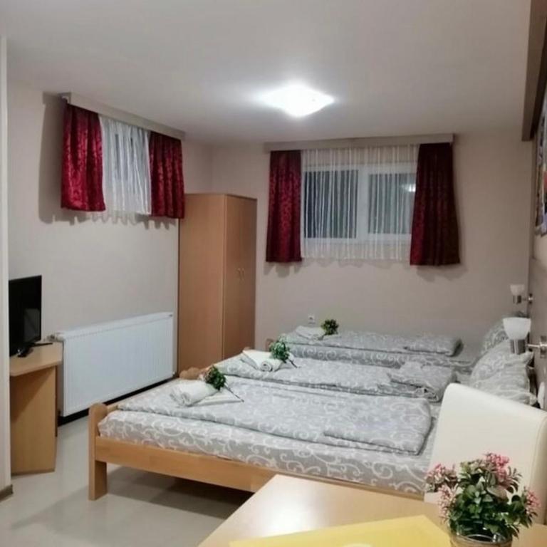 KONAK ViLA MIRKOVIĆ - Standardni Trokrevetni Studio - 4