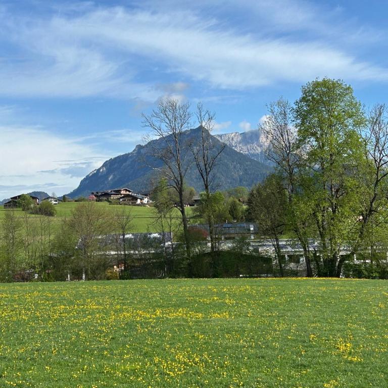 Ferienwohnungen Winkllehen - Appartamento con Balcone - 13