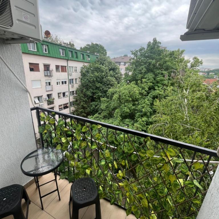 Pavlovic apartman - Apartman - 10