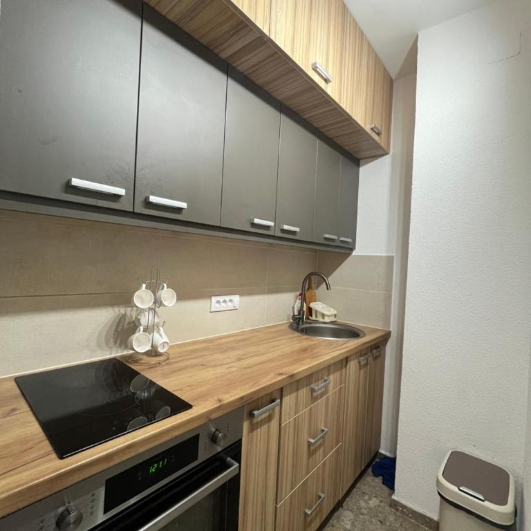 Pavlovic apartman - Apartman - 4