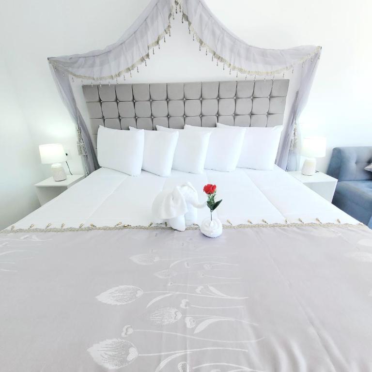 Titicaca lakeside peru - Suite - 3