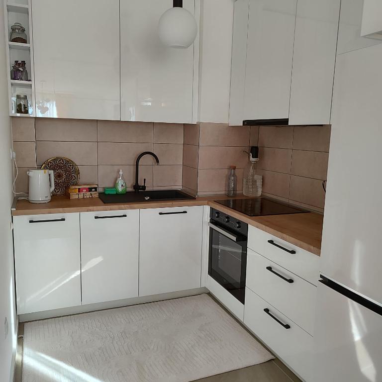 Sarajevo Apartment AMAJE - free parking - One-Bedroom Apartment - 27