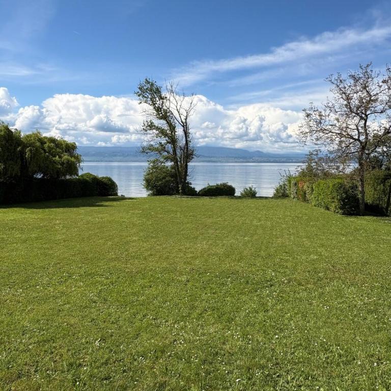 Appartement tout confort pieds dans l'eau avec vue imprenable , pause nature - Appartement 1 Chambre - 14