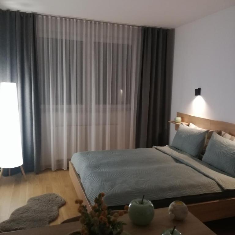 Apartman 33 - Apartman sa 1 Spavaćom Sobom - 3