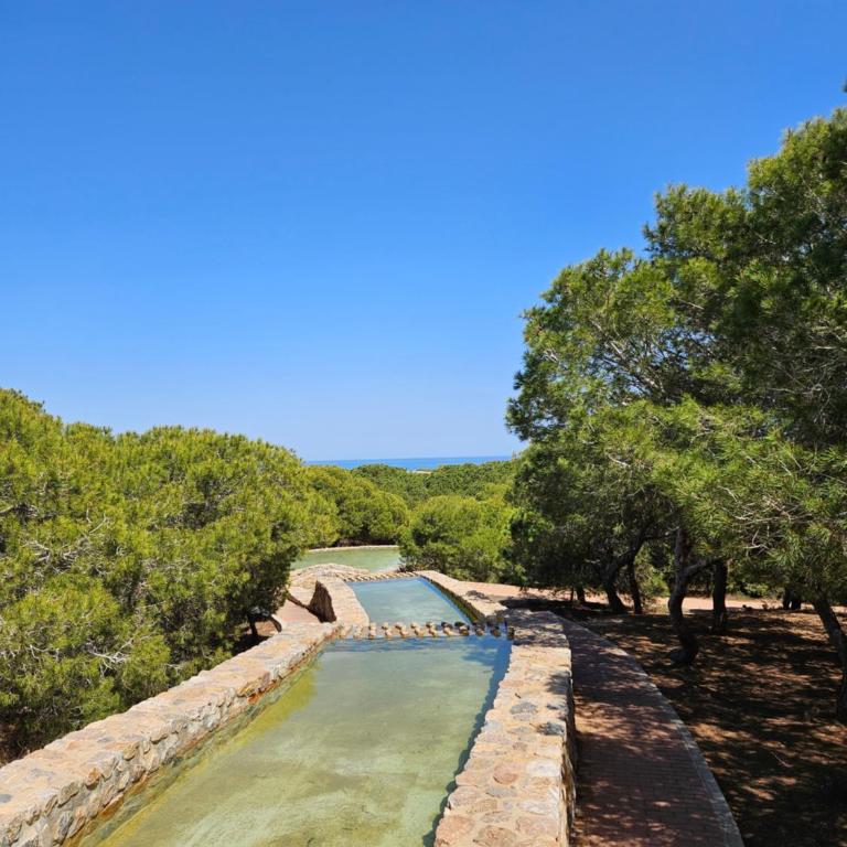 Apartament Casa del Gallo Torrevieja - Appartamento con 1 Camera da Letto - 28