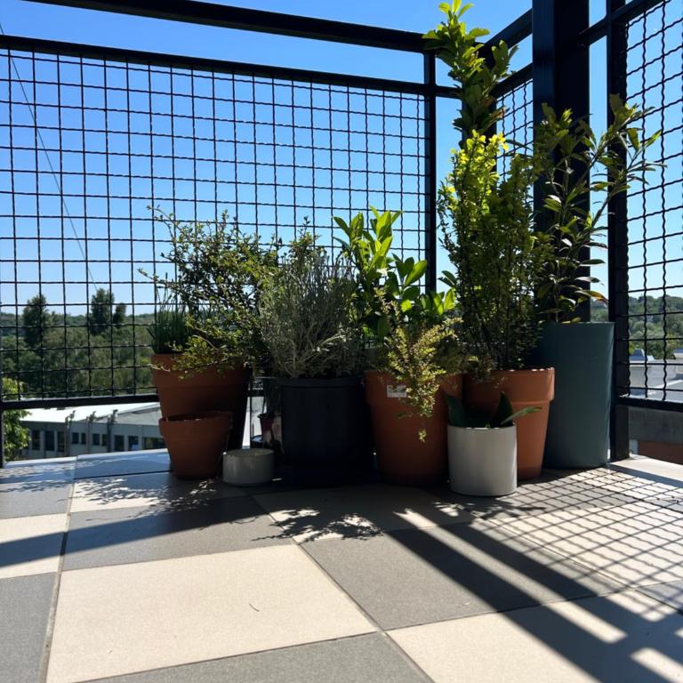 Danube View - Apartman sa 1 Spavaćom Sobom - 30