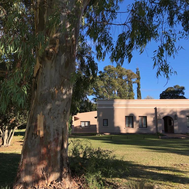 Tierra Aparts - Apartamento de 2 dormitorios - 1