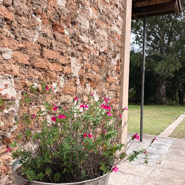 Tierra Aparts - Apartamento de 2 dormitorios - 2