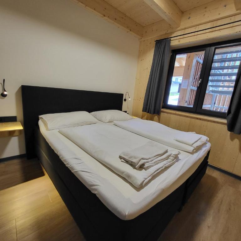 Urlaubsspaß am Nassfeld Ski-Wandern-Mountainbiken Hermagor - Apartment - 21