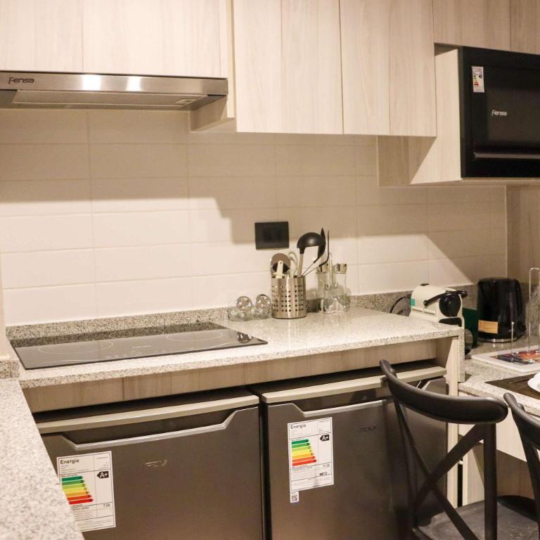 HOM I Amplio y Comodo Depto 2D2B 4PAX Santiago - Apartamento - 39