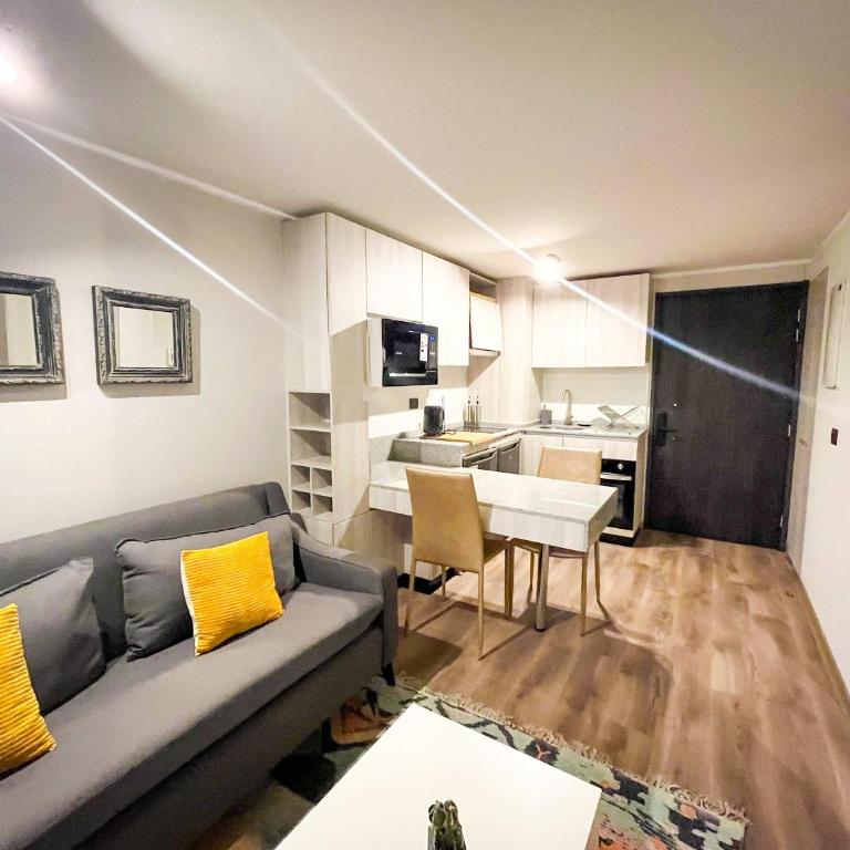 HOM Depto A Estrenar Top1 1D1B 2PAX en Stgo - Apartamento - 29