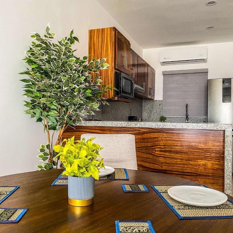 Beautiful Celeste Condominium - Apartamento de 1 dormitorio - 3