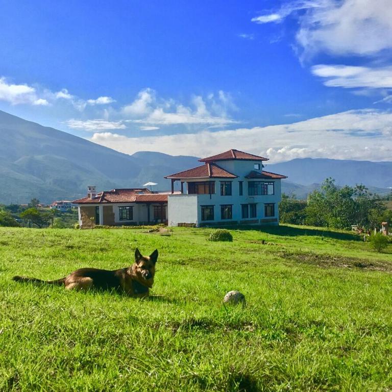 Casa Finca Los Arrayanes, spectacular views! - Six-Bedroom House - 1