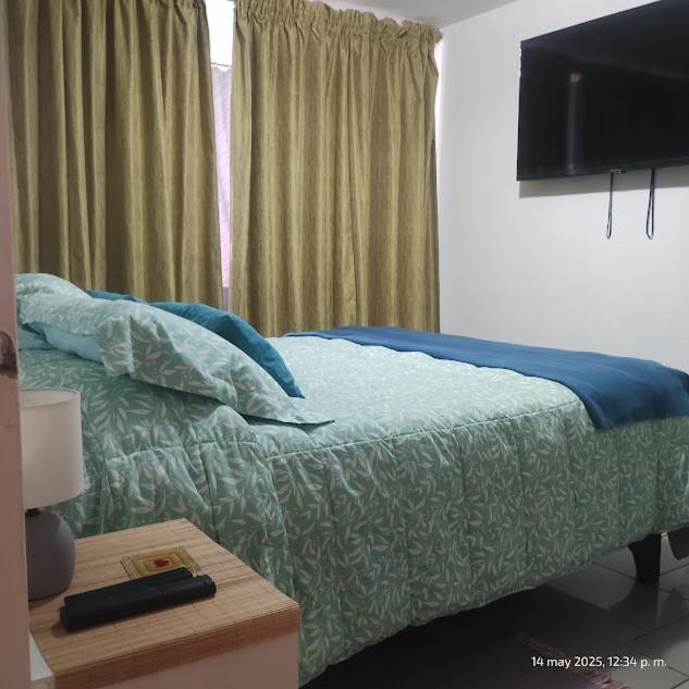 Departamento en Providencia, Chile - Apartamento de 1 dormitorio - 11