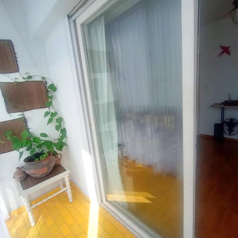 Abasto, 2 ambientes, departamento completo y práctico - Apartamento de 1 dormitorio - 20