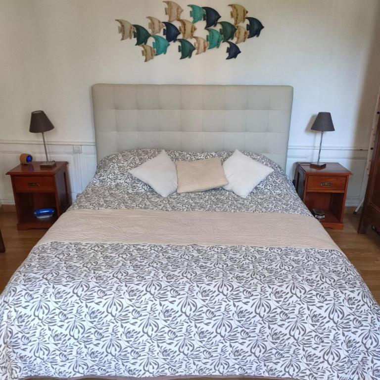 Appartement Cosy avec jardinet - Appartement 1 Chambre - 11