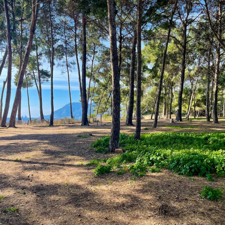 Studio Emeraude Proche Plage Clim Balcon Dernier Etage Parking - Saint Mandrier Sur Mer - Pin Rolland - Apartment mit Balkon - 13