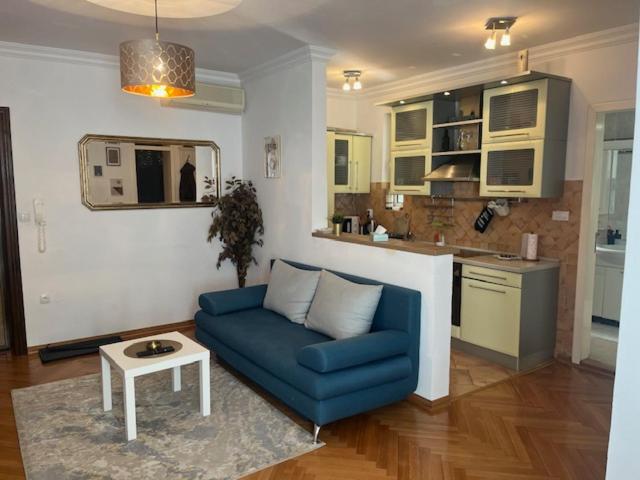 Apartment Carpe diem in Belgrade - Apartman sa 1 Spavaćom Sobom - 1