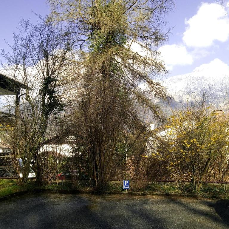 Ferienwohnung Thumseestraße 18 - Apartment mit 1 Schlafzimmer - 17