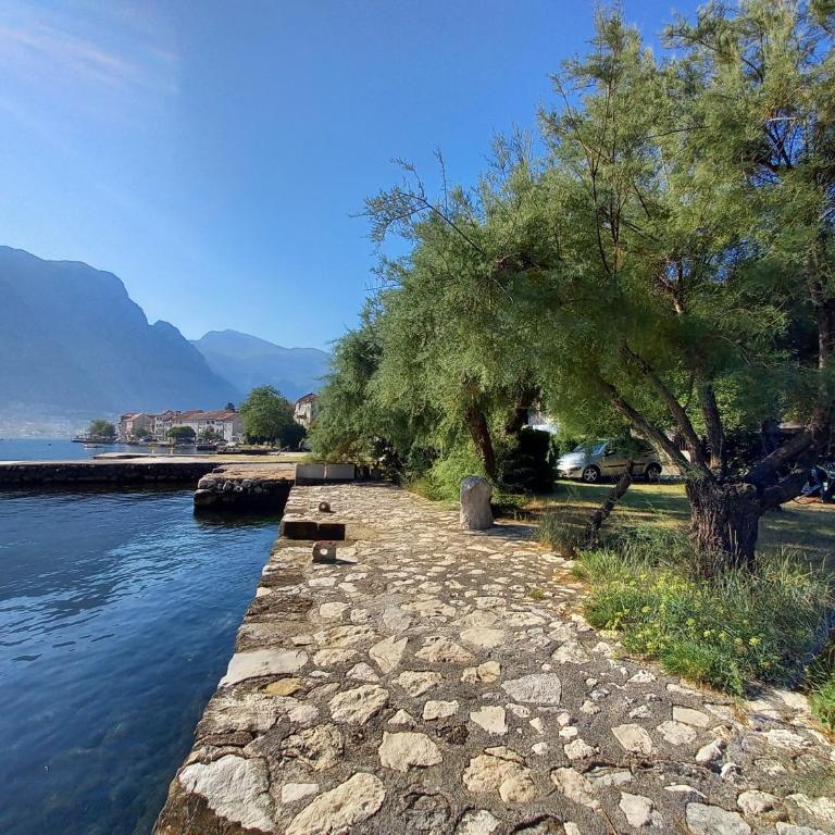 Apartment Pinebreeze - Prčanj - Kotor - Apartment - Ground Floor - 6
