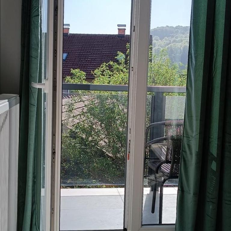 Apartman NIT Banja Koviljača - Apartman sa 1 Spavaćom Sobom - 17