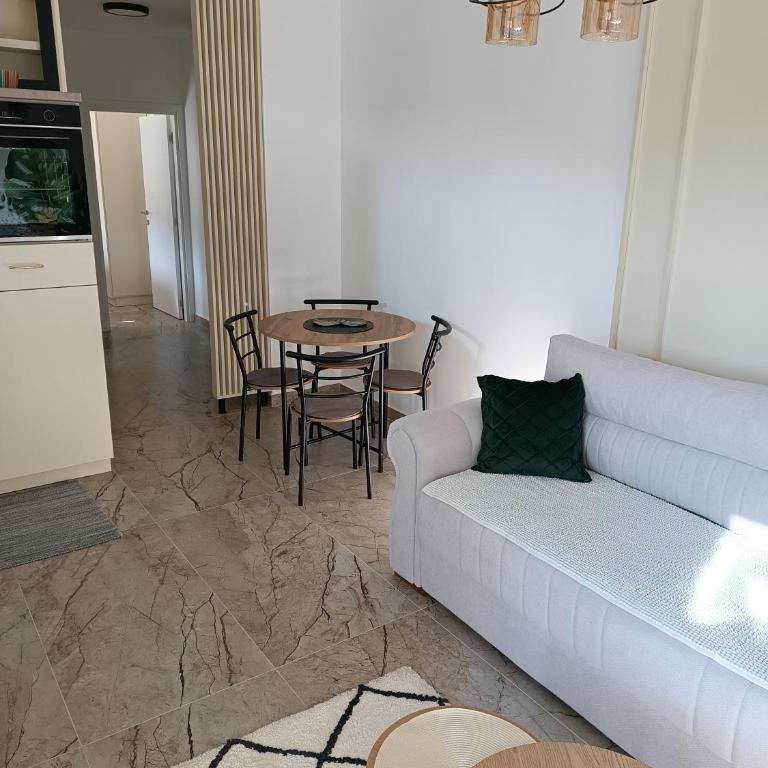 Apartman NIT Banja Koviljača - Apartman sa 1 Spavaćom Sobom - 21