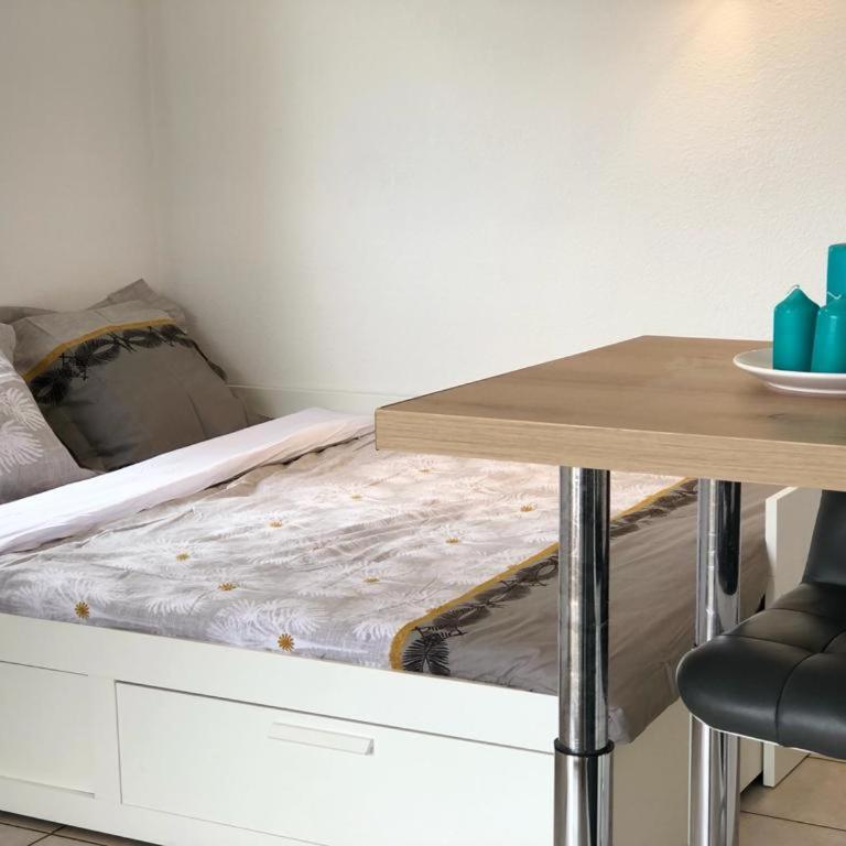 Beautiful studio with balcony - Appartement 1 Chambre - 7