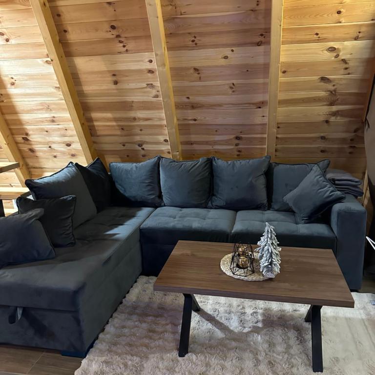 Pine Forrest Uskoci - One-Bedroom House - 28