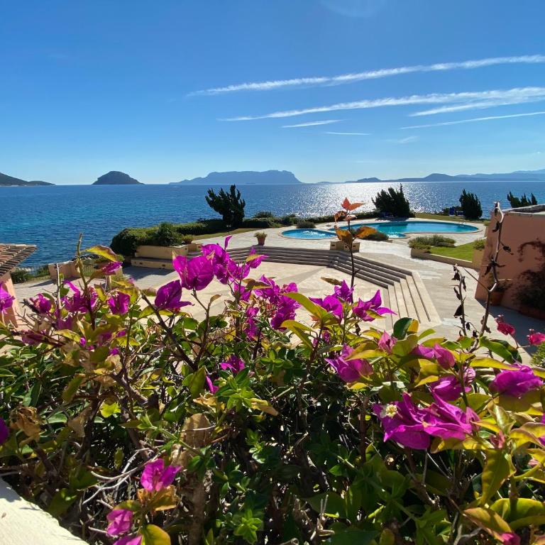 Luxury apartment Ginepro sea view with common swimming pool just 50 mt from the beach - Appartamento con 1 Camera da Letto e Vista Mare - 9
