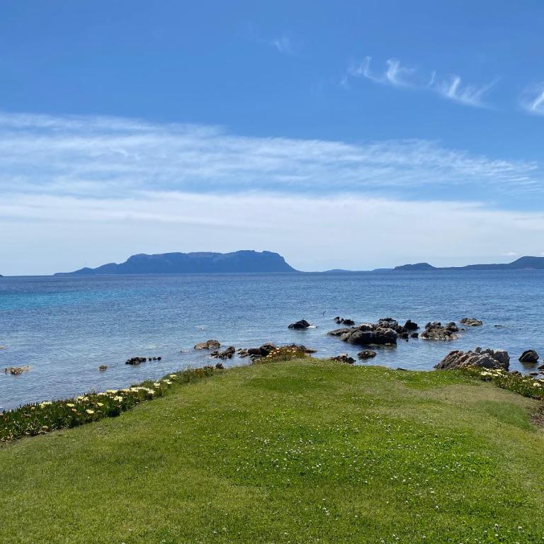 Luxury apartment Ginepro sea view with common swimming pool just 50 mt from the beach - Appartamento con 1 Camera da Letto e Vista Mare - 14