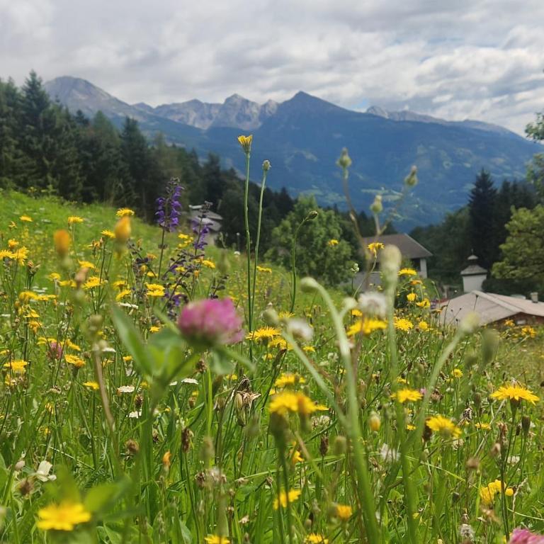 Chalet Waldhof - Chalet con 2 Camere da Letto - 25