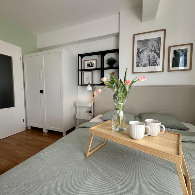 Studio Mint&White Borik - Studio Apartman - 8