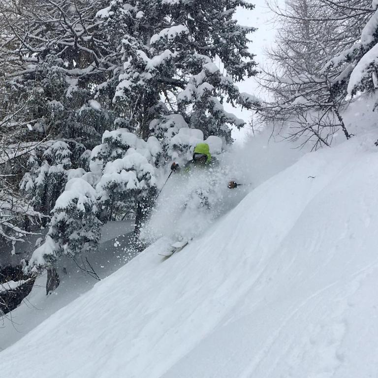 Marmotte Mountain Pic Vert - Chalet - 56