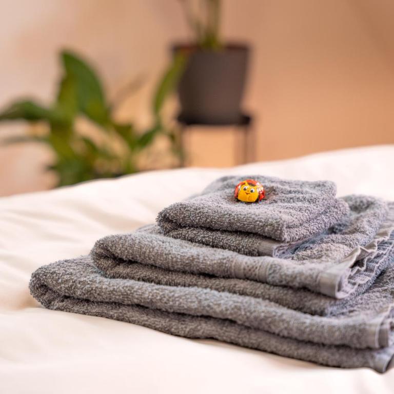 anderswo - Urlaub im Allgäu - Skifahren, Wandern, Radfahren, Sauna buchbar - Apartment - 25