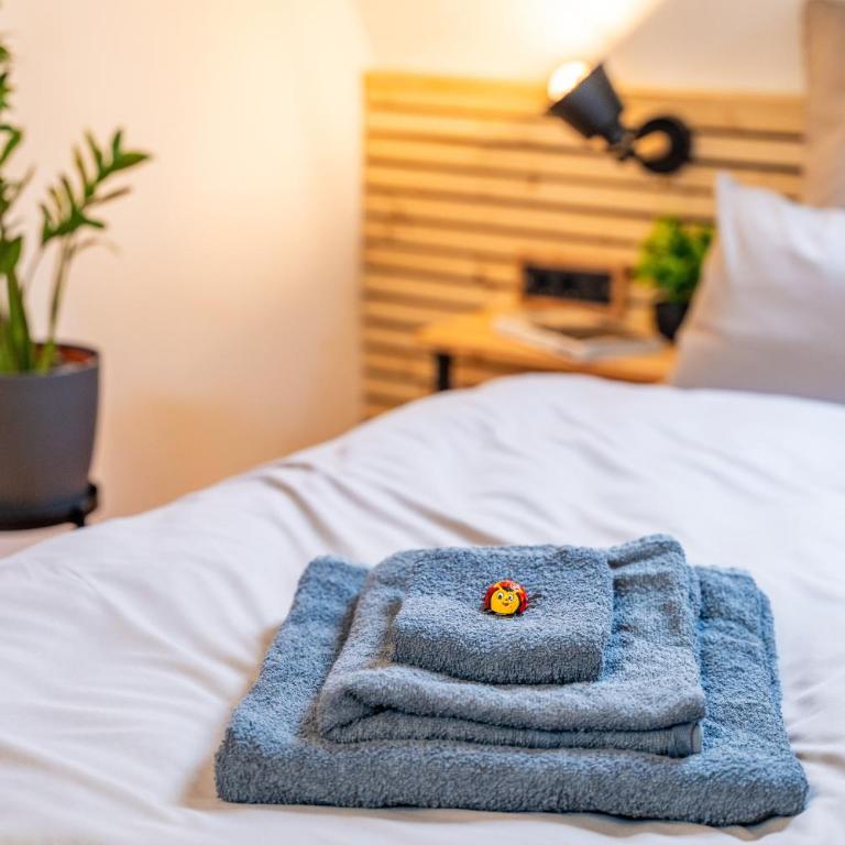 anderswo - Urlaub im Allgäu - Skifahren, Wandern, Radfahren, Sauna buchbar - Apartment - 30