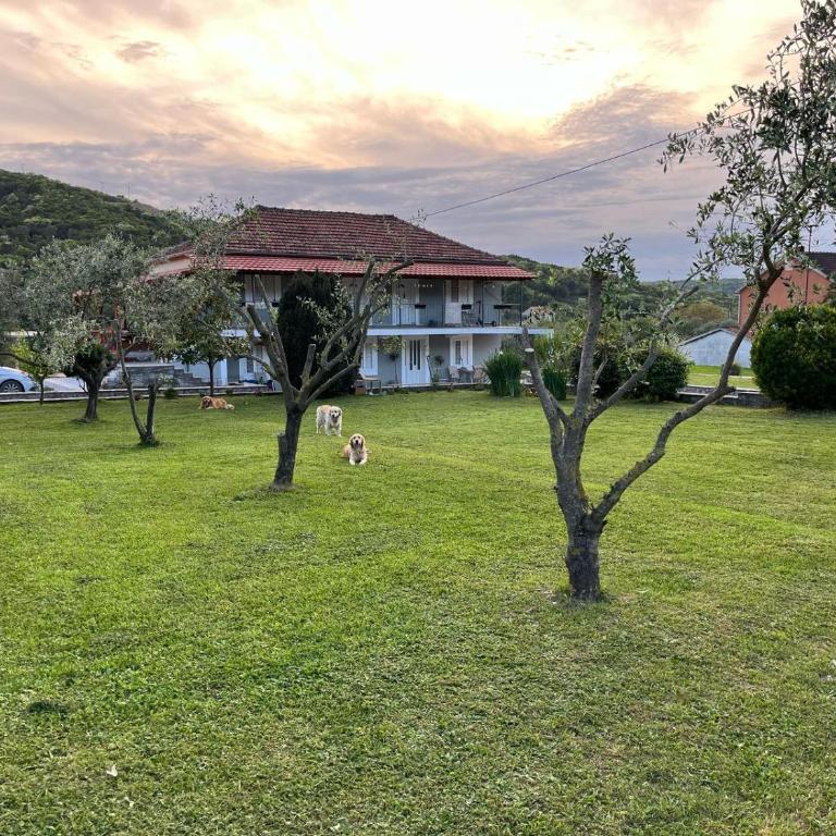 House9 - Apartman s 1 Spavaćom Sobom i Terasom - 24