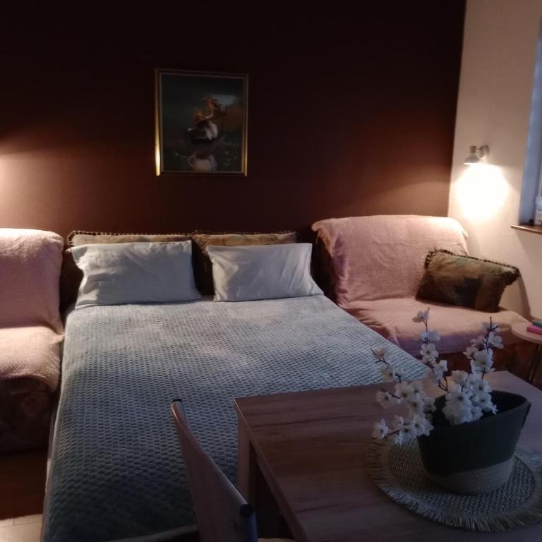 Apartman Kutak Nešić - Apartman sa 1 Spavaćom Sobom - 2