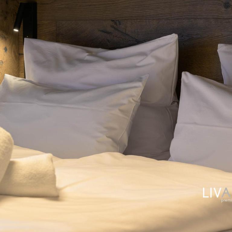 LIVALPIN Suite - Three-Bedroom Apartment with Balcony and Mountain View - 29