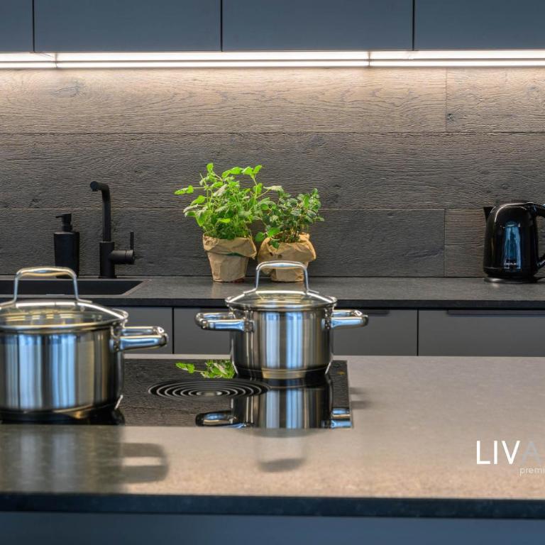 LIVALPIN Suite - Three-Bedroom Apartment with Balcony and Mountain View - 26